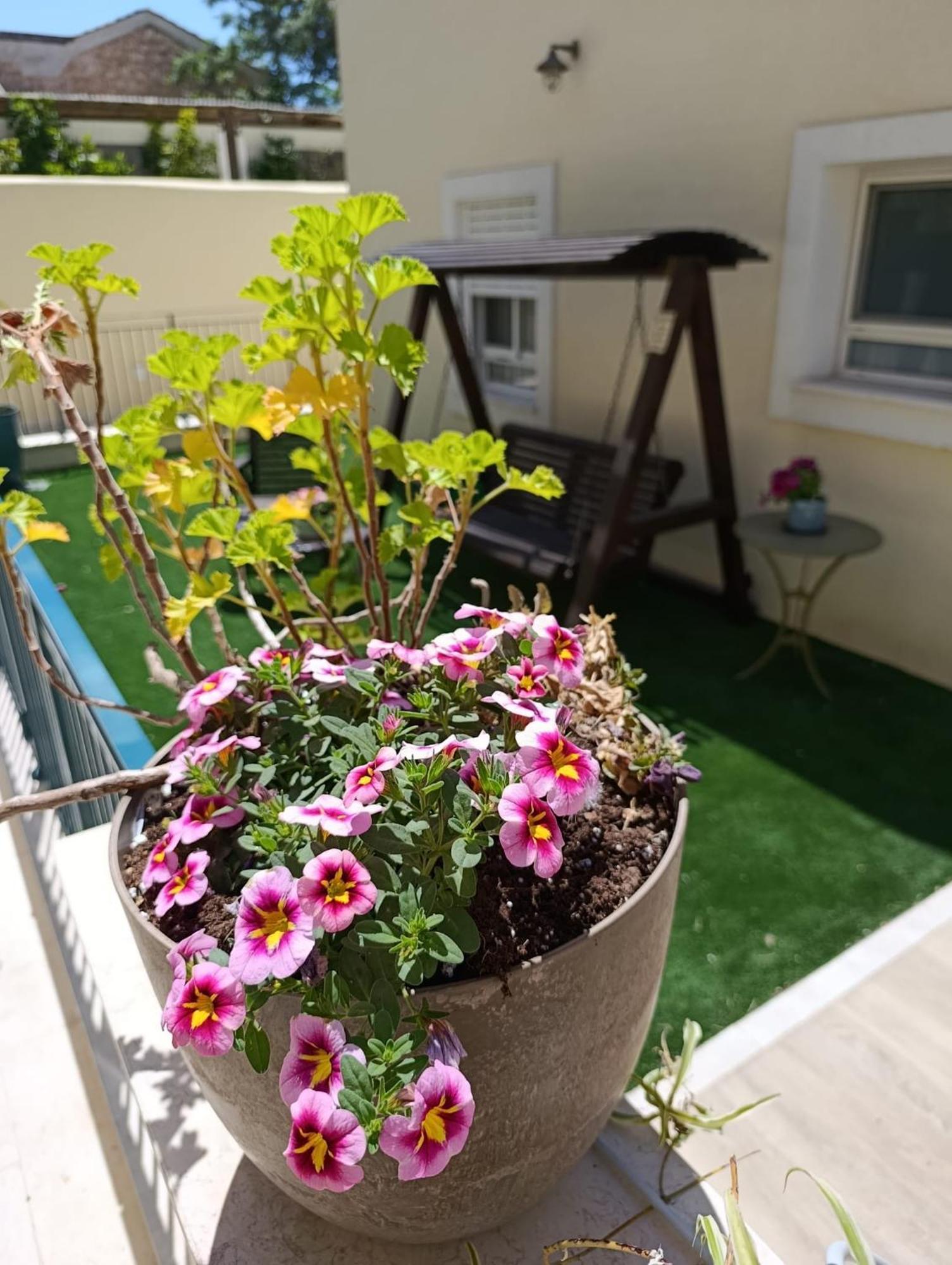 49 Boutique Villa Zikhron Ya'akov Oda fotoğraf